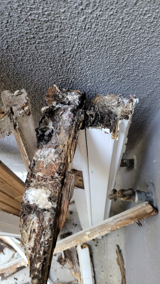 Water Damage Door Frame Rebuild by Preciado Wood Works